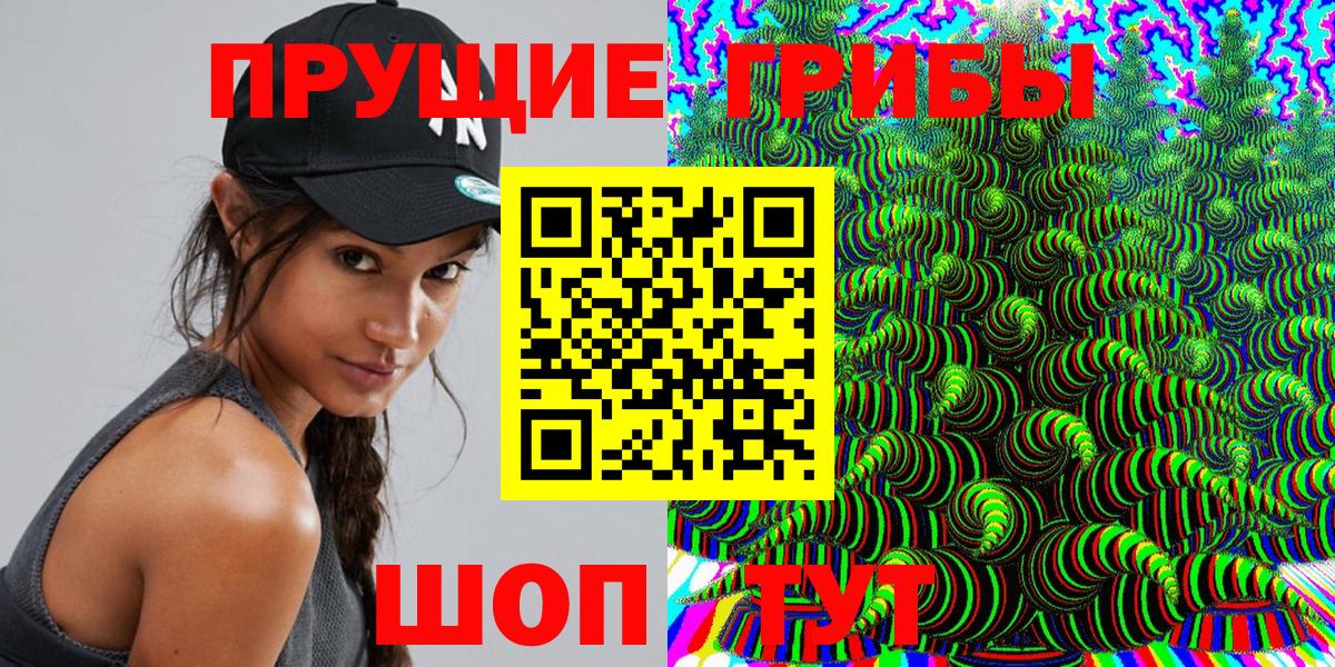 Псилоцибиновые грибы Psilocybe Гусиноозёрск